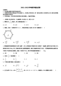 2022年新疆乌鲁木齐市第九十八中学中考数学适应性模拟试题含解析