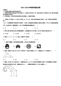 2022年云南省曲靖市陆良县达标名校中考数学模试卷含解析