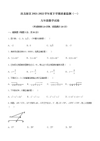 2022年辽宁省沈阳市沈北新区中考一模考试数学试题（Word版 含答案）