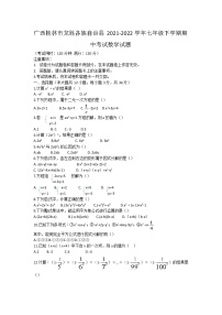 广西桂林市龙胜各族自治县2021-2022学年七年级下学期期中考试数学试题（含答案）