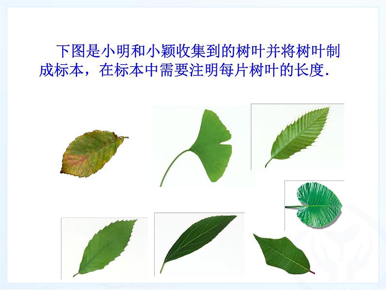 人教数学七上1.5.3近似数优质课课件PPT第7页