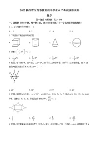 2022年陕西省宝鸡市陇县中考一模数学试题(word版含答案)