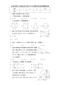 山东省济宁市梁山县2022年中考数学适应性检测试卷(word版含答案)