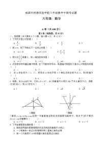 四川省成都市树德实验学校2021-2022学年八年级下学期半期考数学试题（无答案）