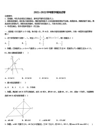 福建省宁化城东中学2021-2022学年中考数学全真模拟试卷含解析