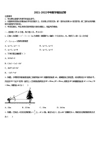 甘肃省定西市临洮县2021-2022学年中考数学押题试卷含解析