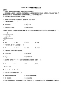 广东省广州市绿翠现代实验校2021-2022学年初中数学毕业考试模拟冲刺卷含解析