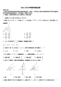 河南省濮阳市县达标名校2022年中考数学最后冲刺模拟试卷含解析