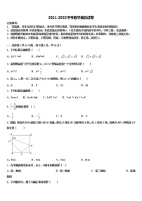 河北省邯郸市丛台区育华中学2021-2022学年中考数学模试卷含解析