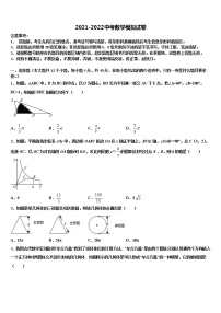湖北省武汉市青山区重点名校2021-2022学年中考数学全真模拟试题含解析