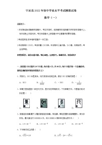 2022年湖南省永州市宁远县初中学业水平考试模拟数学试题（一）(word版含答案)