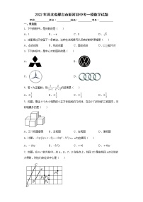 2022年河北省邢台市新河县中考一模数学试题(word版含答案)