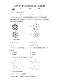 2022年四川省广元市昭化区九年级一诊数学试题(word版含答案)