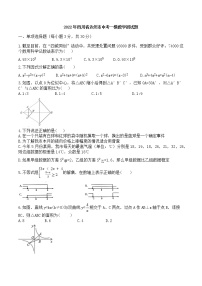 2022年四川省达州市中考一模数学测试题(word版无答案)