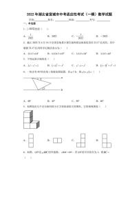 2022年湖北省宜城市中考适应性考试（一模）数学试题(含答案)