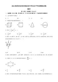 2022年陕西省宝鸡市陇县中考一模数学试题(含答案)