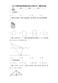 2022年陕西省宝鸡市陈仓区九年级中考一模数学试题(word版含答案)