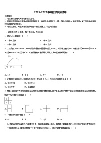 江苏省南京市南师附中树人校2022年中考数学全真模拟试卷含解析