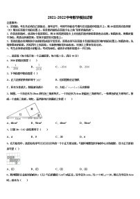 山东省临沂市河东区达标名校2021-2022学年中考数学最后冲刺模拟试卷含解析