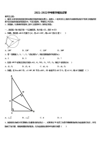 山东省潍坊市高密市重点中学2021-2022学年中考数学最后冲刺模拟试卷含解析