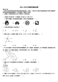 山东省临沂商城外国语校2021-2022学年中考数学仿真试卷含解析