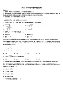 山东省金乡县2022年中考数学模拟试题含解析