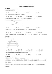 上海市普陀区九年级下学期期中数学试题含解析