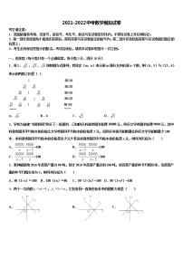 上海市杨浦区上海同济大附属存志校2022年中考数学对点突破模拟试卷含解析