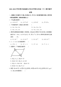 四川省成都市七中育才学校2021-2022学年七年级下学期数学期中质量监测试卷（无答案）