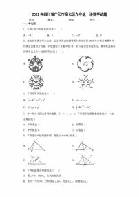 2022年四川省广元市昭化区九年级一诊数学试题(含答案)