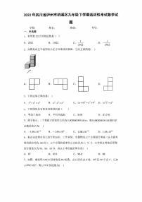 2022年四川省泸州市纳溪区九年级下学期适应性考试数学试题(含答案)