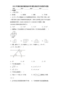 2022年湖北省谷城县初中毕业生适应性考试数学试题(word版含答案)