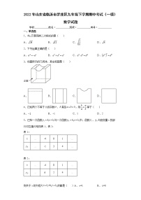 2022年山东省临沂市罗庄区九年级下学期期中考试（一模）数学试题(word版含答案)