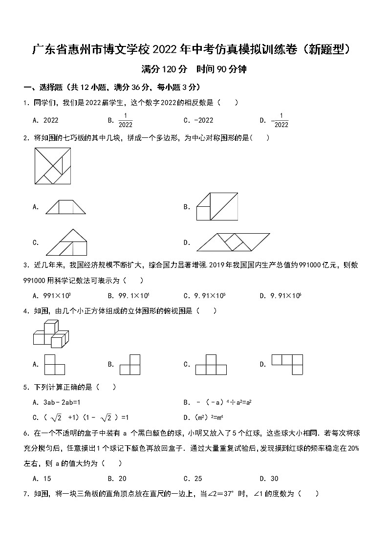 广东省惠州市博文学校2022年中考仿真模拟训练卷（新题型）  含答案第1页