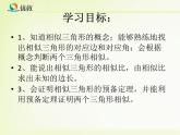 《相似三角形》课件PPT