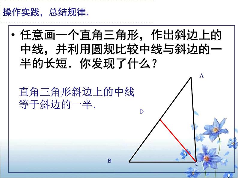 直角三角形的性质课件第5页