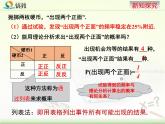 《頻率與概率》教學課件