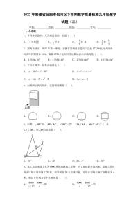 2022年安徽省合肥市包河区下学期教学质量检测九年级数学试题（二）(含答案)