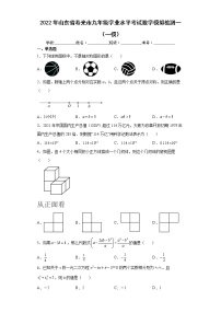 2022年山东省寿光市九年级学业水平考试数学模拟检测一（一模）(word版含答案)