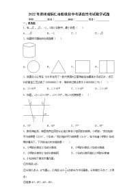 2022年贵州省铜仁市松桃县中考适应性考试数学试题(word版含答案)