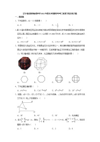 2022年辽宁省沈阳市虹桥中学九年级数学中考三轮复习综合练习题（含答案）