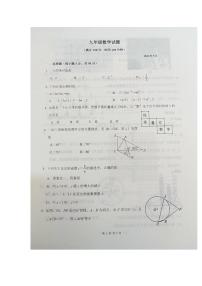 山东德州庆云县2022年5月九年级二练数学试题及答案