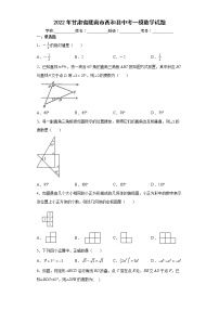 2022年甘肃省陇南市西和县中考一模数学试题(word版含答案)