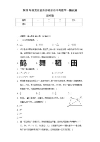 2022年黑龙江省齐齐哈尔市中考数学一模试卷（含解析）