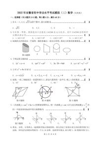 2022年合肥市滨湖寿春二模数学试题卷（定稿）