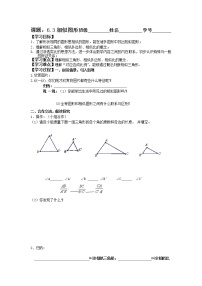 数学九年级下册6.3 相似图形教案