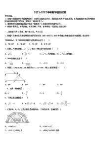 新疆乌鲁木齐市达标名校2021-2022学年中考数学模拟试题含解析