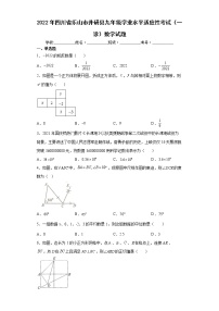 2022年四川省乐山市井研县九年级学业水平适应性考试（一诊）数学试题(word版含答案)