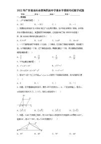 2022年广东省汕头市澄海区初中学业水平模拟考试数学试题(word版含答案)