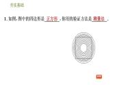 2020—2021学年鲁教版（五四制）七年级下册数学课件8.2证明的必要性
